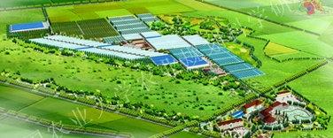 烏蘭察布市欣康源農業基地